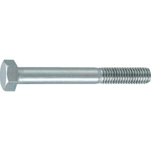 TRUSCO �g���X�R���R TRUSCO �Z�p�{���g�X�e�����X���˂��^�C�v M20X60 2�{��