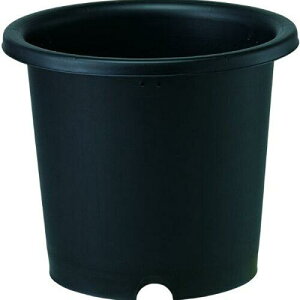 avX`bN e 6 200×H160 ubN()