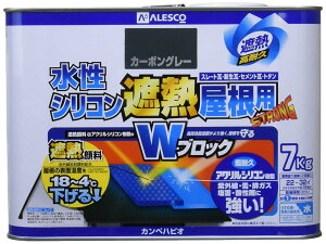 JynsI(Kanpe Hapio) KH VRՔMp J[{O[ 7K@#00377655643070