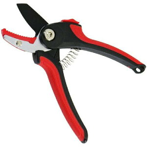 ߗ^ GF C[W[Obv i:31117 TCY:Ar J[:EGS-101