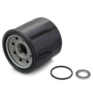 fCgi(DAYTONA) ICREJp[tFNgZbg MT-10 i:17910