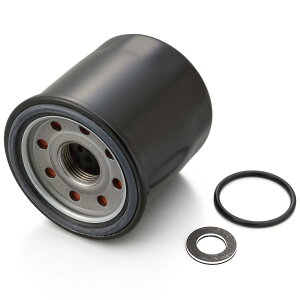 fCgi(DAYTONA) ICREJp[tFNgZbgNINJA250 i:18066