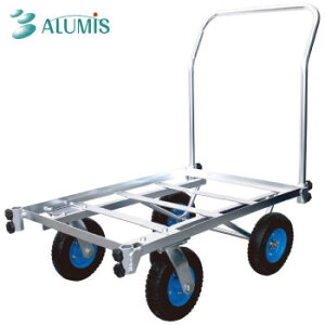 A~X(Alumis) A~X A~lփnEXL[PUm[pN^C (1671854)