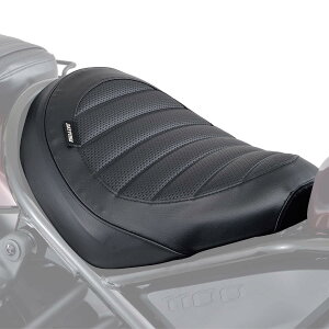 fCgi(DAYTONA) V[gJo[(tg)/u1100 i:98051