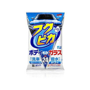 \tg99(SOFT99) SOFT99 (\tg99) tNsJGEN5 tNsJV[Y {fB̃KXdグ 24 00462 zCg