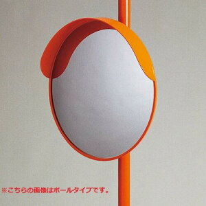 {Ώ\ ^J[u~[iی^1ʋj@ǊS30@ǖʋt@AN 276070 1g