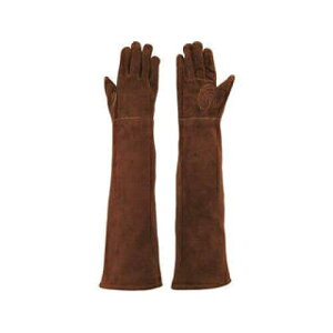 V v ICH DAnEvĕt t[ CS-920 1o