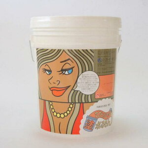 On the wall ЂƂœh }AReX S[WXeRb^ 22KG 1