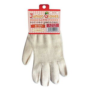 Y (ڂ) WjAO[u L #515