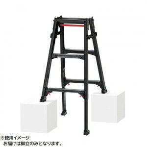 JH(Hasegawa) rLkpr(BLACK LABEL) RYZB-09 10136 (1714444)