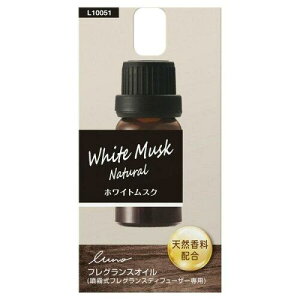 CARMATE J[Cg J[Cg ԗp F tOXfBt[U[ p tOXIC zCgXNN. L10051