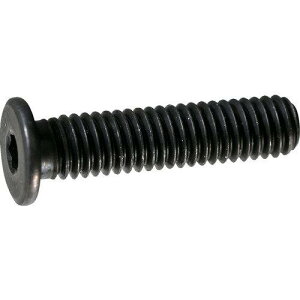 TRUSCO �g���X�R���R TRUSCO ���ᓪ�X�`-���L���b�v�{���g M4×16 10�{�� (Y1530416 6600)