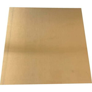 TRUSCO gXRR TRUSCO Vv[g ^J 1.0×200×200mm (SISIN1.0200200 4500)