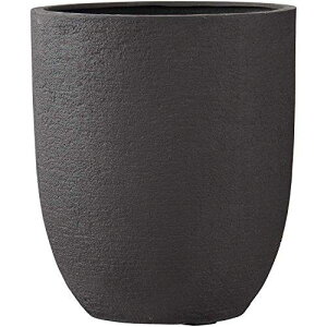 Tan Khoa �y��������/�A�ؔ�/�y�ʔ��z�r�A�X �A���g�G�b�O 31cm (EB-PL239031BM)