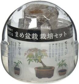 聖新陶芸 育てるカプセル まめ盆栽 サイズ：約φ70 H65 GD-954