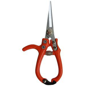 konyo GARDEN FRIENDS RpNg CTS-170