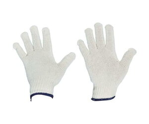 TRUSCO gXRR TRUSCO ȌR 10o ڕt600g (TCG60010P 8539)