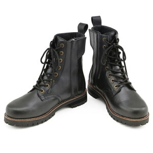 fCgi(DAYTONA) HBS-007~hu[cBK/24.0 i:26291