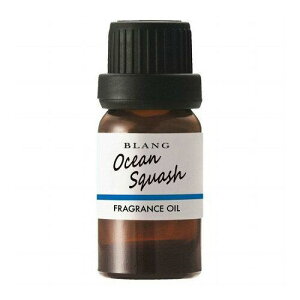 CARMATE J[Cg J[Cg ԗp F tOXfBt[U[ p tOXIC I[VXJbV L10023