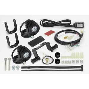 SP LEDtHOvLbg3.0(950)(2) 05-08-0569 NXJu50/110(AA06/JA45/JA60)(m[}ԗp)