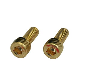 �N���G�C�e�B�u�t�@�N�g���[�|�b�V�� 24K���b�LSUS�L���b�v�{���g 811650-020 M8X20.2PCS