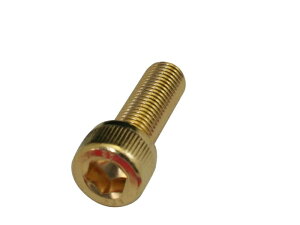 �N���G�C�e�B�u�t�@�N�g���[�|�b�V�� 24K���b�LSUS�L���b�v�{���g 811660-025 M10X25.1PC
