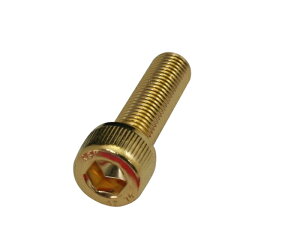 �N���G�C�e�B�u�t�@�N�g���[�|�b�V�� 24K���b�LSUS�L���b�v�{���g 811660-035 M10X35.1PC