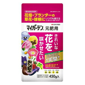 ZFw| 엿 }CK[f p 450g     1N