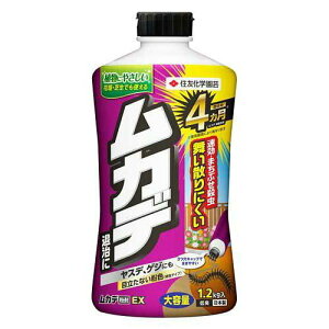 KINCHO���| ���J�f����EX