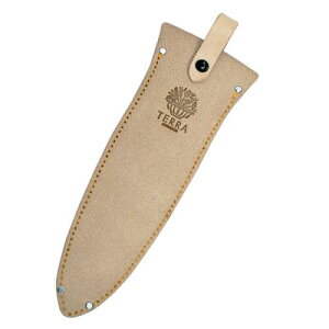 vX^[ Terra TR-10 P[X