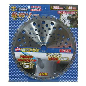 ����u���[�h �R�� �y�؃\�[ AN�^ 255x40 BP #130911