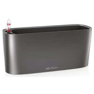 Lechuza `[U ʋv^[ f^10 ye2L `R[ (15467 8247)