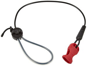 RS^C`(RSTAICHI) T-RAPS VVNC[/SRlN^[ NXP0039999