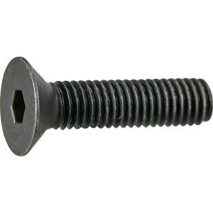 TRUSCO gXRR TRUSCO ZptM{g  S˂ M6×15 10{ ʃpbN (Y8080615 6600)