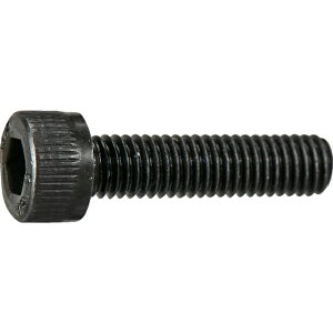 TRUSCO �g���X�R���R TRUSCO �Z�p���t�{���g ������ �S�l�W M2×12 10�{�� ���ʃp�b�N /�L���b�v�{���g(CAP) (Y8040212 6600)