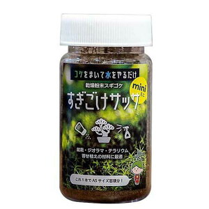 rbNA[ bigarrow-sugigokemini