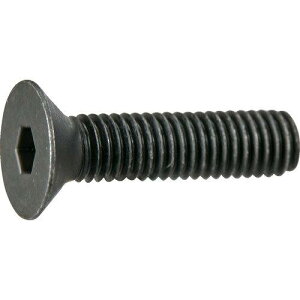 TRUSCO �g���X�R���R TRUSCO �Z�p���t�M�{���g ������ �S�˂� M4×20 10�{�� ���ʃp�b�N (Y8080420 6600)