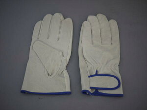 xmO[u Ɨp܂ĂȂ F-1 }WbNt