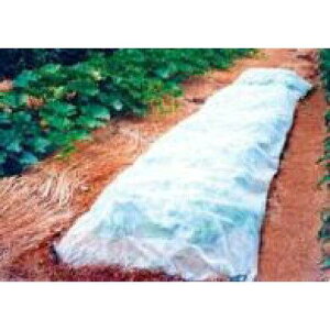 VZC SS _ƗpsDz 炭炭K[h X[p[ 1.8x200m