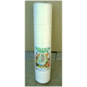 VZC SS _ƗpsDz 炭炭K[h X[p[ 0.9mx10m