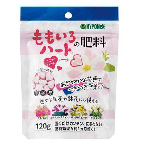 nC|lbNXWp n[g̔엿120G