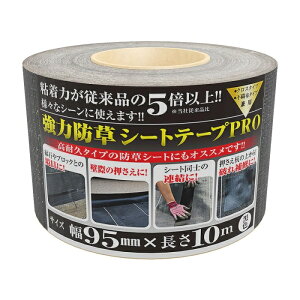 {}^C(Nihon Matai) ͖hV[gpe[vPRO