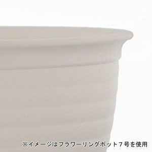 xXgR t[O|bg  v^[ 4 zCg MA-3259