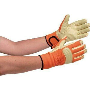 ~hS hEW[p hΎ (؊v⋭^Cv) LL code:8192515