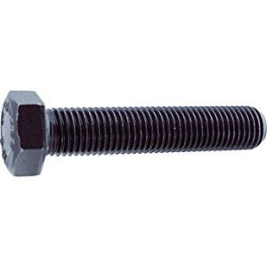 TRUSCO �g���X�R���R Y1121655TRUSCO 10.9�S�˂��Z�p�{���g 16X55 2�{8561129