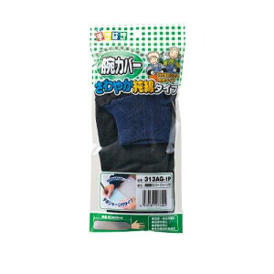 Ag ȘrJo[@W[W 313-AG 1o^pbN