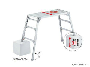 JH(Hasegawa) iŎg! rLk L^Cv DRSW-1000c (1608711)