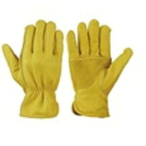 V {v nEvāE񂵂ڂt L CG-990 L 1o