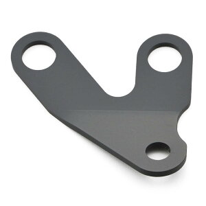 fCgi(DAYTONA) zVE60^R[^[Xe[Zbg/REBEL i:17786