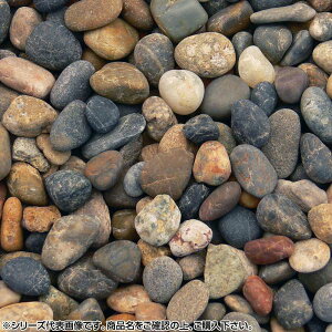 COMOLIFE RCt }cgY }gVREʍ  12`20mmO 20kg (1423948)